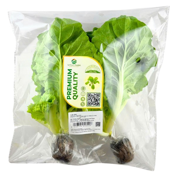 Cải Dún Thủy Canh Vitec Farm 300G