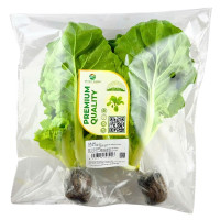 Cải Thìa GlobalGAP Vitec Farm 300G