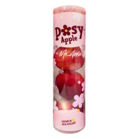 Táo Posy New Zealand Ống 4 Trái 500G